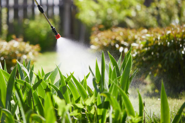 24/7 Emergency Termite Control experts in Selmer, TN