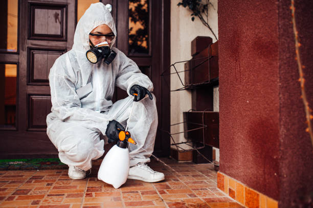 Reliable Termite Control contractor in Selmer, TN by Nex Pest Control