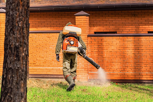 Trusted Emergency Pest Control service in Selmer, TN - Nex Pest Control